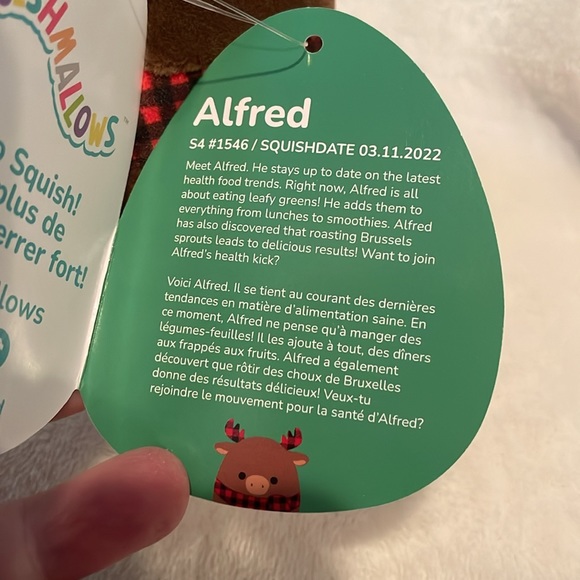 NWT Set-of-2 Original Squishmallows Ornaments, “Alfred,” and “Rocky”, ~4” each - Picture 6 of 14